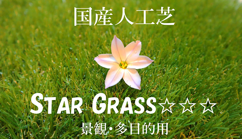 star grass